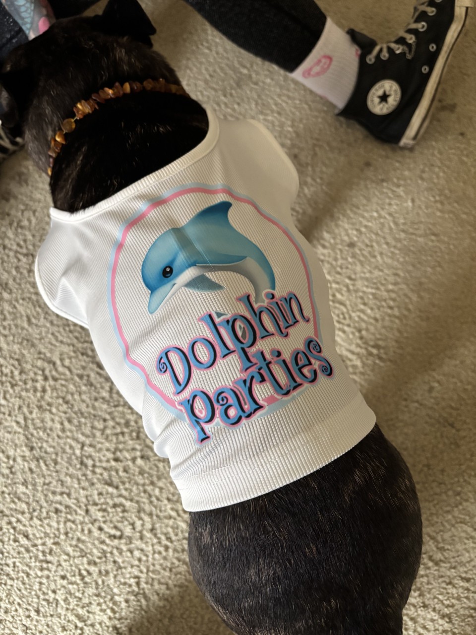 Charlie in Dolphin Parties crop top