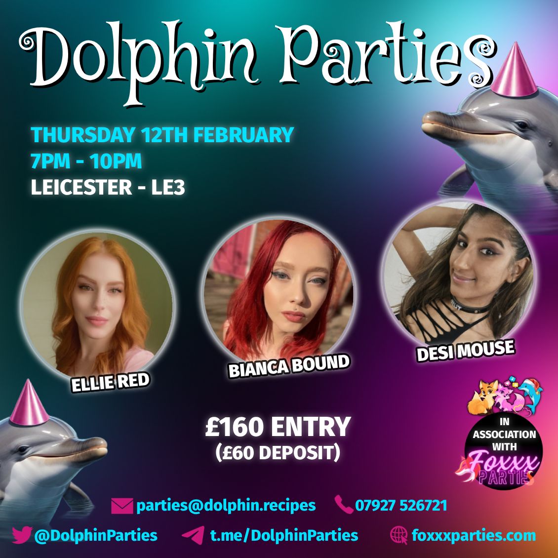 Dolphin Parties February 12th 2026