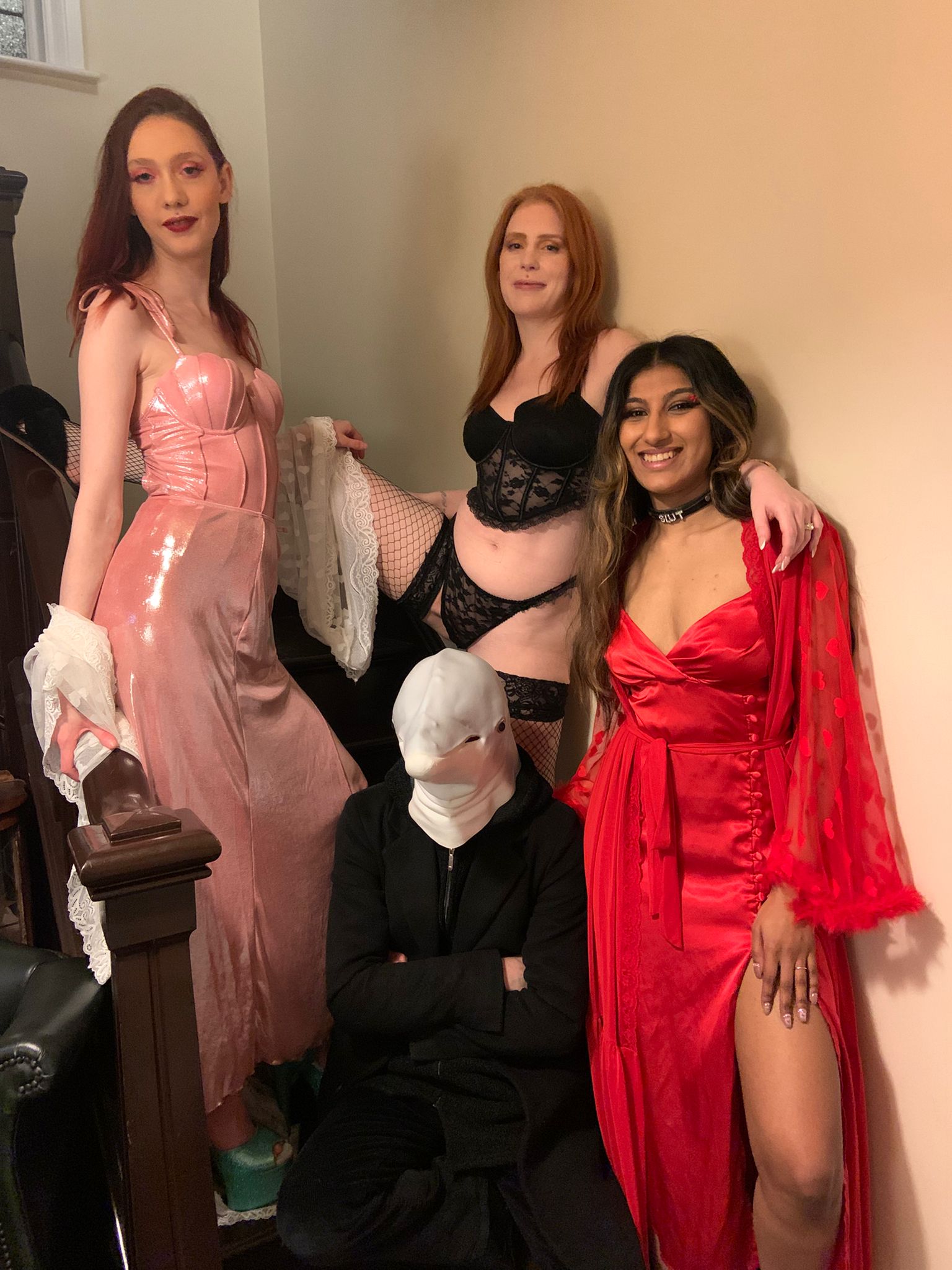 Dolphin Parties February 2026